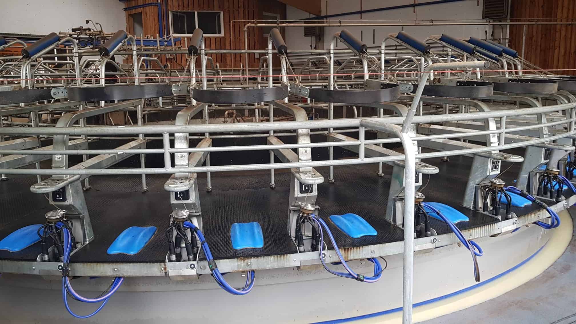 Ein automatisches Melkkarussell bringt für größere Milchviehbetriebe viele Vorteile mit sich und hat zahlreiche wirtschaftliche sowie arbeitswirtschaftliche Vorteile. Die Funktion eines Melk Karussells werden in diesem Beitrag leicht verständlich erklärt.