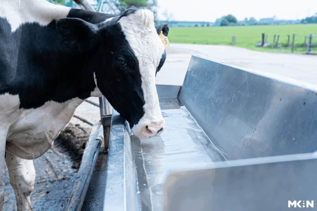 Saubere Tränke nach der Atla Wasseraufbereitung
