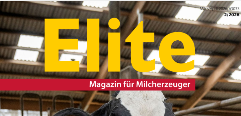 Screenshot Elite 02/2026